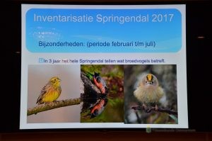 Robert Westerhof, Springendal