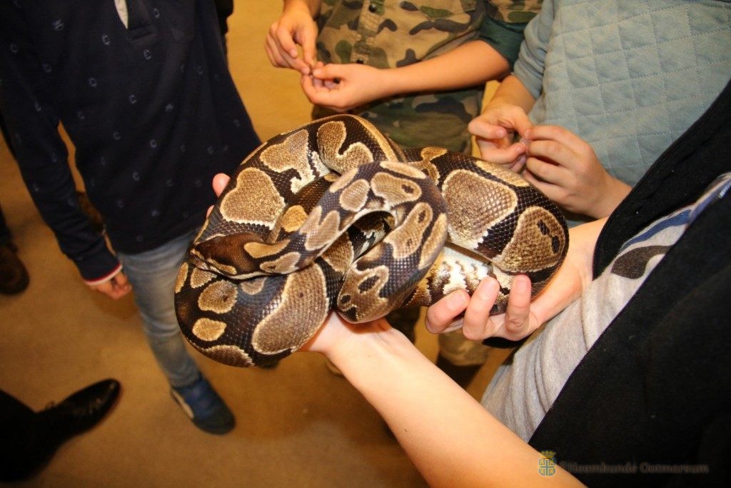 Jeugdnatuurclub op safari in Wonderryck