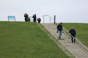 Lauwersmeer 4